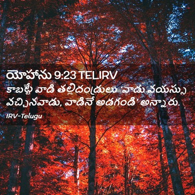 Picture 02 - యోహాను 9:23 TELIRV - కాబట్టే వాడి - Bible Verse Picture