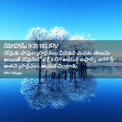 Picture 02 - యోహాను 9:31 TELIRV - దేవుడు పాపుల - Bible Verse Picture