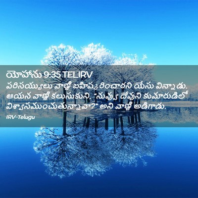 Picture 02 - యోహాను 9:35 TELIRV - పరిసయ్యులు వాణ్ణి - Bible Verse Picture
