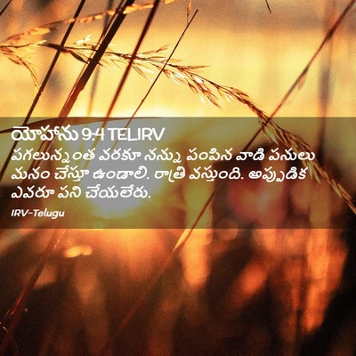 Picture 02 - యోహాను 9:4 TELIRV - పగలున్నంత వరకూ - Bible Verse Picture