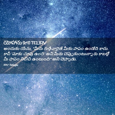 Picture 02 - యోహాను 9:41 TELIRV - అందుకు యేసు, “మీరు - Bible Verse Picture