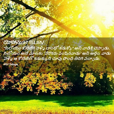 Picture 02 - యోహాను 9:7 TELIRV - “సిలోయం కోనేటికి - Bible Verse Picture