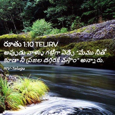Picture 02 - రూతు 1:10 TELIRV - అప్పుడు వాళ్ళు - Bible Verse Picture