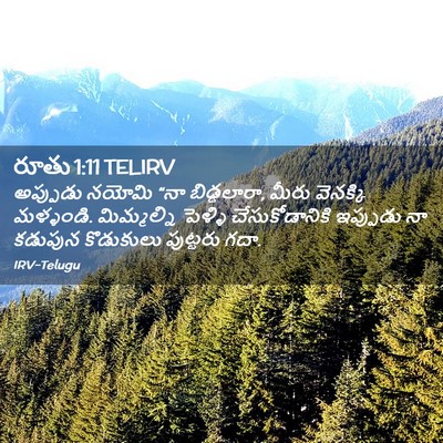 Picture 02 - రూతు 1:11 TELIRV - అప్పుడు నయోమి “నా - Bible Verse Picture