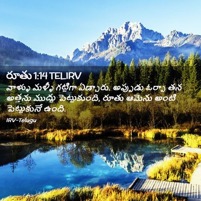 Picture 02 - రూతు 1:14 TELIRV - వాళ్ళు మళ్ళీ - Bible Verse Picture