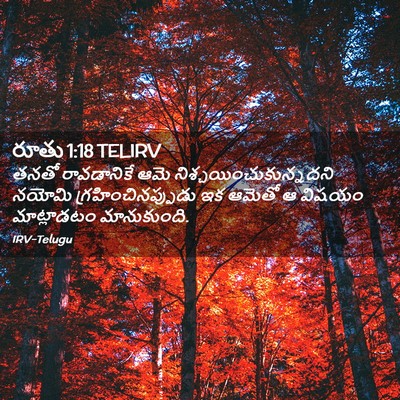 Picture 02 - రూతు 1:18 TELIRV - తనతో రావడానికే - Bible Verse Picture