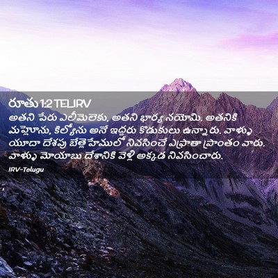 Picture 02 - రూతు 1:2 TELIRV - అతని పేరు - Bible Verse Picture