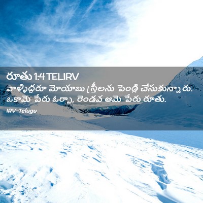 Picture 02 - రూతు 1:4 TELIRV - వాళ్ళిద్దరూ - Bible Verse Picture