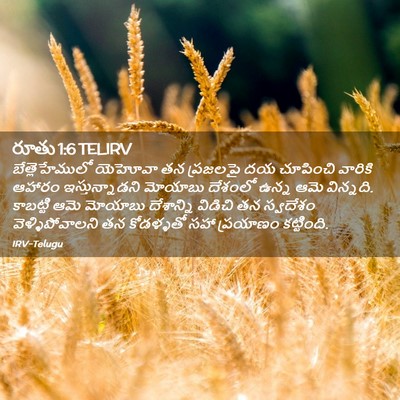 Picture 02 - రూతు 1:6 TELIRV - బేత్లెహేములో - Bible Verse Picture