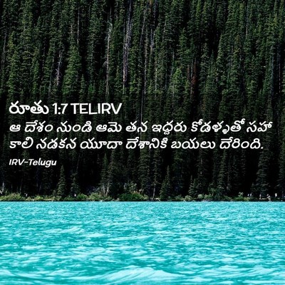 Picture 02 - రూతు 1:7 TELIRV - ఆ దేశం నుండి ఆమె తన - Bible Verse Picture