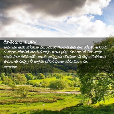 Picture 02 - రూతు 2:10 TELIRV - అప్పుడు ఆమె బోయజు - Bible Verse Picture