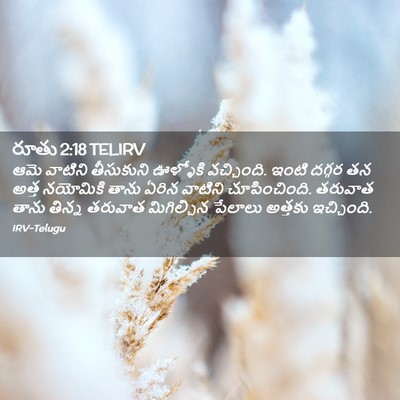 Picture 02 - రూతు 2:18 TELIRV - ఆమె వాటిని - Bible Verse Picture