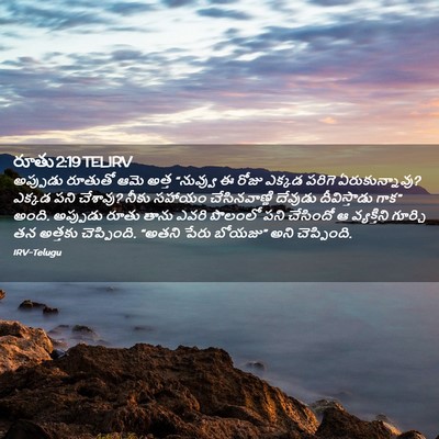 Picture 02 - రూతు 2:19 TELIRV - అప్పుడు రూతుతో - Bible Verse Picture