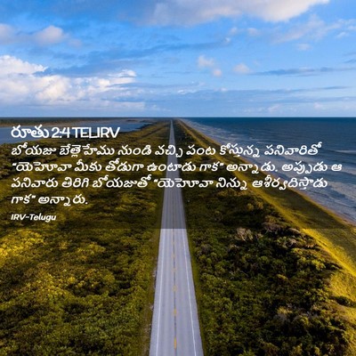 Picture 02 - రూతు 2:4 TELIRV - బోయజు బేత్లెహేము - Bible Verse Picture