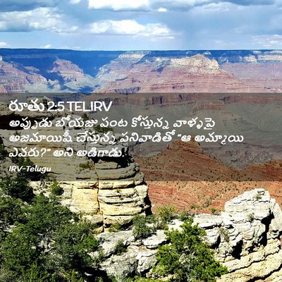 Picture 02 - రూతు 2:5 TELIRV - అప్పుడు బోయజు పంట - Bible Verse Picture