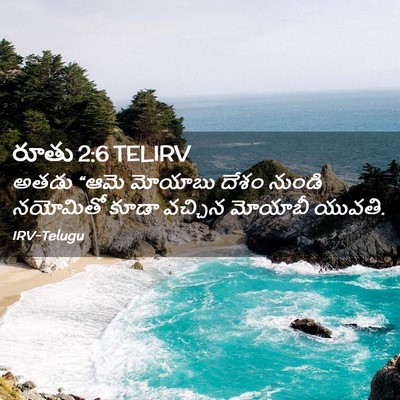 Picture 02 - రూతు 2:6 TELIRV - అతడు “ఆమె మోయాబు - Bible Verse Picture