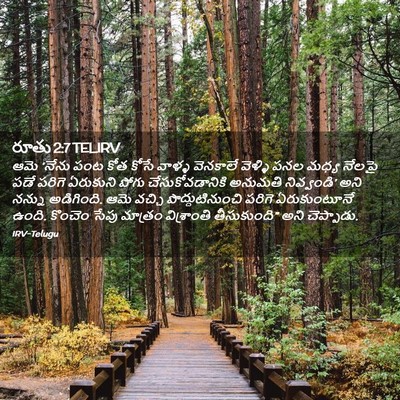 Picture 02 - రూతు 2:7 TELIRV - ఆమె ‘నేను పంట కోత - Bible Verse Picture