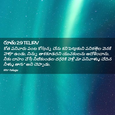 Picture 02 - రూతు 2:9 TELIRV - కోత పనివారు పంట - Bible Verse Picture