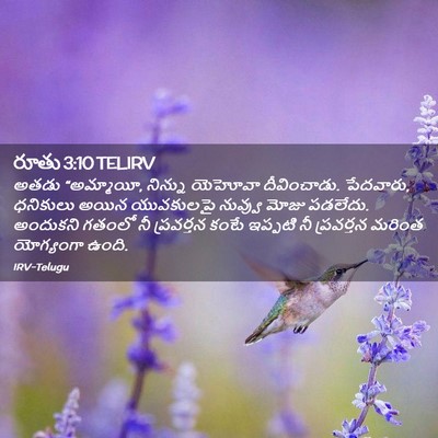 Picture 02 - రూతు 3:10 TELIRV - అతడు “అమ్మాయీ, - Bible Verse Picture