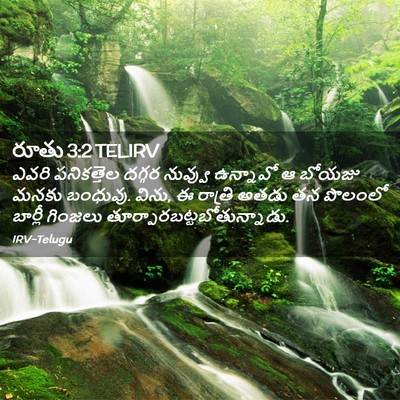 Picture 02 - రూతు 3:2 TELIRV - ఎవరి పనికత్తెల - Bible Verse Picture