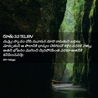Picture 02 - రూతు 3:3 TELIRV - నువ్వు స్నానం - Bible Verse Picture