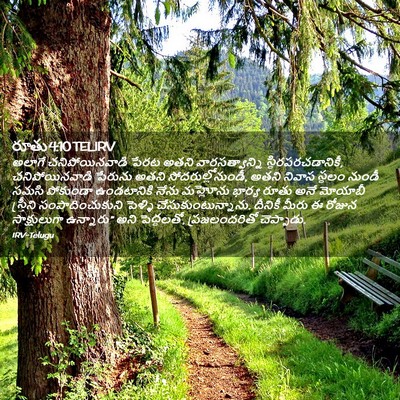 Picture 02 - రూతు 4:10 TELIRV - అలాగే - Bible Verse Picture