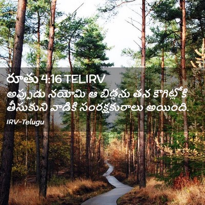 Picture 02 - రూతు 4:16 TELIRV - అప్పుడు నయోమి ఆ - Bible Verse Picture