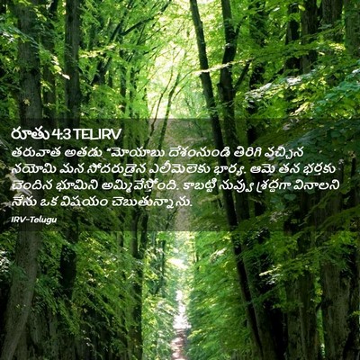 Picture 02 - రూతు 4:3 TELIRV - తరువాత అతడు - Bible Verse Picture