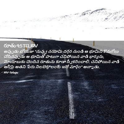 Picture 02 - రూతు 4:5 TELIRV - అప్పుడు బోయజు - Bible Verse Picture
