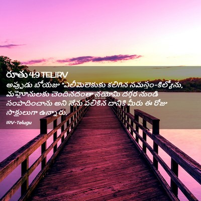 Picture 02 - రూతు 4:9 TELIRV - అప్పుడు బోయజు - Bible Verse Picture