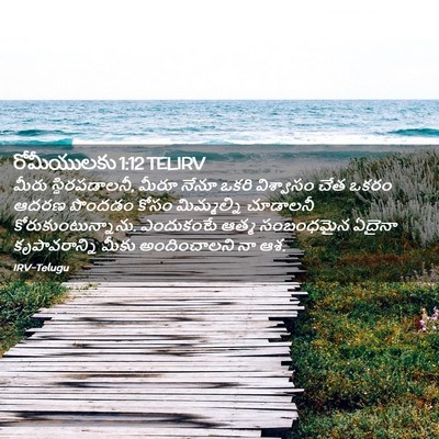 Picture 02 - రోమీయులకు 1:12 TELIRV - మీరు స్థిరపడాలనీ, - Bible Verse Picture