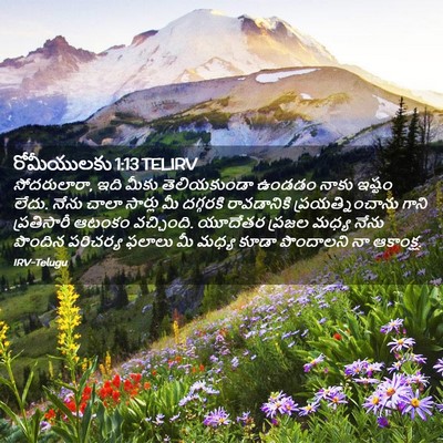 Picture 02 - రోమీయులకు 1:13 TELIRV - సోదరులారా, ఇది - Bible Verse Picture