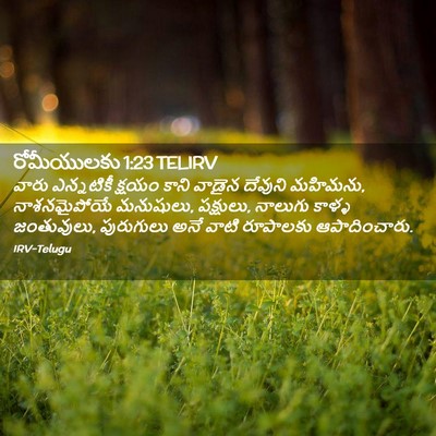 Picture 02 - రోమీయులకు 1:23 TELIRV - వారు ఎన్నటికీ - Bible Verse Picture