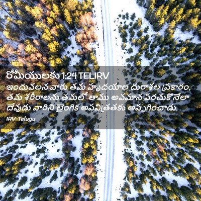 Picture 02 - రోమీయులకు 1:24 TELIRV - ఇందువలన వారు తమ - Bible Verse Picture