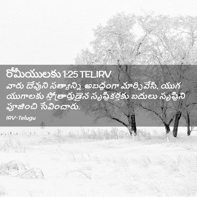 Picture 02 - రోమీయులకు 1:25 TELIRV - వారు దేవుని - Bible Verse Picture
