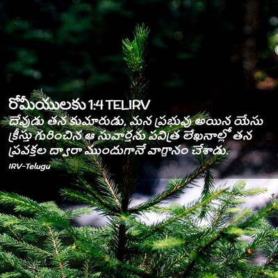 Picture 02 - రోమీయులకు 1:4 TELIRV - దేవుడు తన - Bible Verse Picture