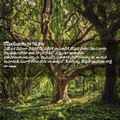 Picture 02 - రోమీయులకు 1:9 TELIRV - ఏదో ఒక విధంగా - Bible Verse Picture