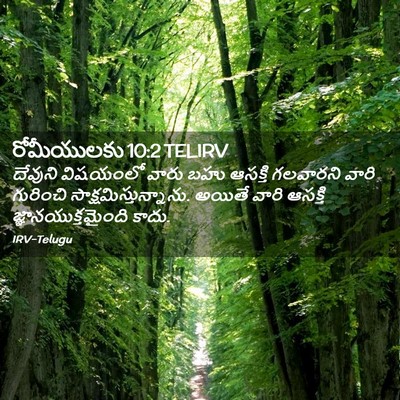 Picture 02 - రోమీయులకు 10:2 TELIRV - దేవుని విషయంలో - Bible Verse Picture