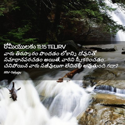 Picture 02 - రోమీయులకు 11:15 TELIRV - వారు తిరస్కారం - Bible Verse Picture