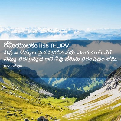 Picture 02 - రోమీయులకు 11:18 TELIRV - నీవు ఆ కొమ్మల పైన - Bible Verse Picture