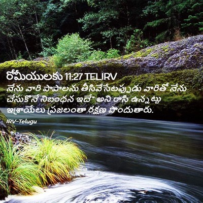 Picture 02 - రోమీయులకు 11:27 TELIRV - నేను వారి పాపాలను - Bible Verse Picture