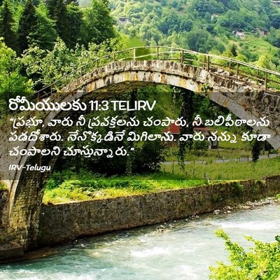 Picture 02 - రోమీయులకు 11:3 TELIRV - “ప్రభూ, వారు నీ - Bible Verse Picture