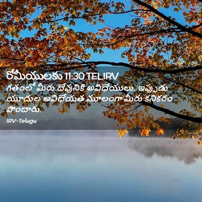 Picture 02 - రోమీయులకు 11:30 TELIRV - గతంలో మీరు - Bible Verse Picture