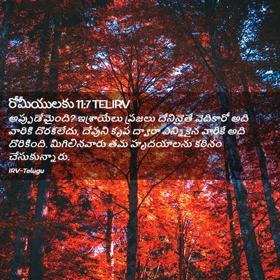 Picture 02 - రోమీయులకు 11:7 TELIRV - అప్పుడేమైంది? - Bible Verse Picture