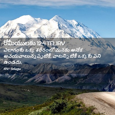Picture 02 - రోమీయులకు 12:4 TELIRV - ఎలాగంటే ఒక్క - Bible Verse Picture