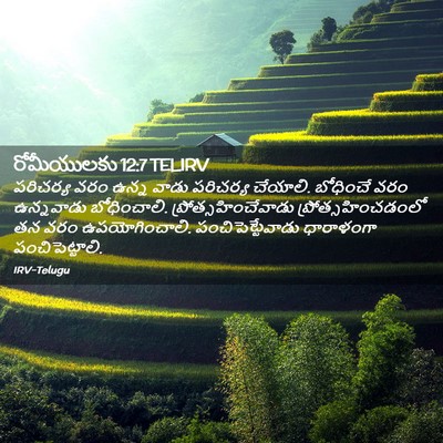 Picture 02 - రోమీయులకు 12:7 TELIRV - పరిచర్య వరం ఉన్న - Bible Verse Picture