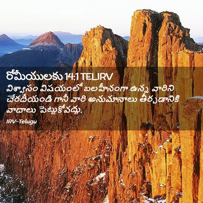 Picture 02 - రోమీయులకు 14:1 TELIRV - విశ్వాసం విషయంలో - Bible Verse Picture