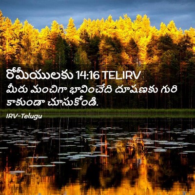 Picture 02 - రోమీయులకు 14:16 TELIRV - మీరు మంచిగా - Bible Verse Picture