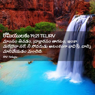 Picture 02 - రోమీయులకు 14:21 TELIRV - మాంసం తినడం, - Bible Verse Picture