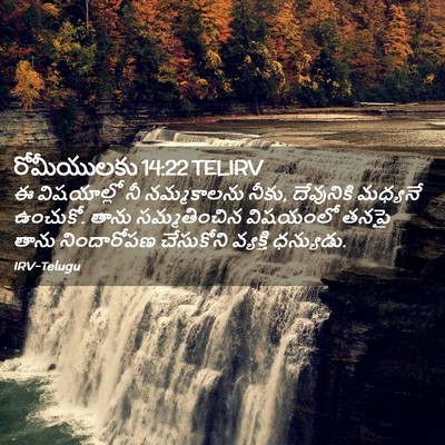 Picture 02 - రోమీయులకు 14:22 TELIRV - ఈ విషయాల్లో నీ - Bible Verse Picture